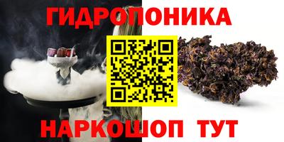 стафф Будённовск