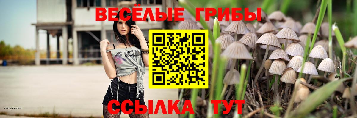 Галлюциногенные грибы ЛСД Междуреченск