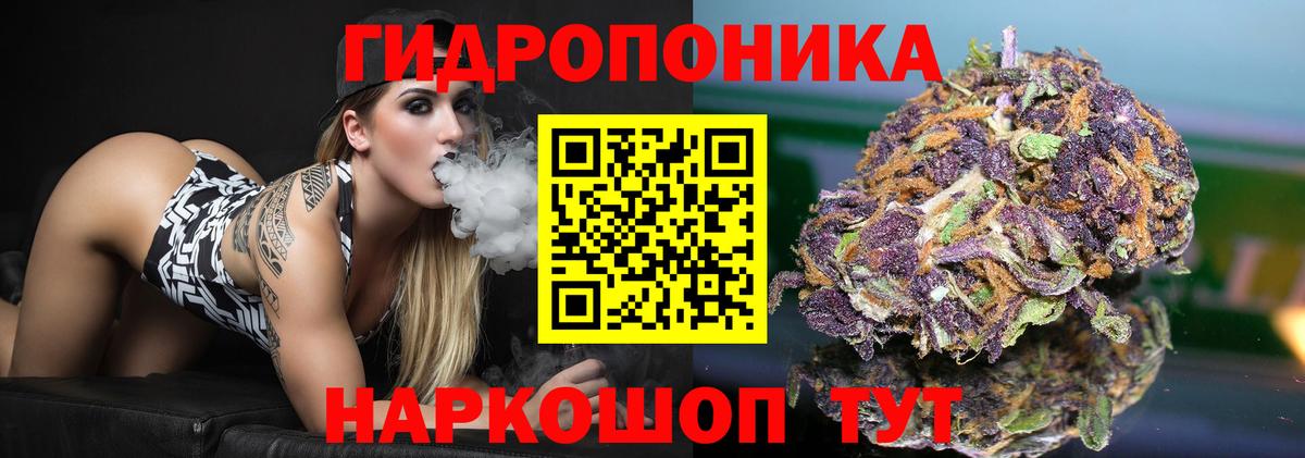 Шишки марихуана гибрид  Бошки Шишки ГИДРОПОН  Марихуана Bruce Banner  Вход с VPN  Междуреченск 